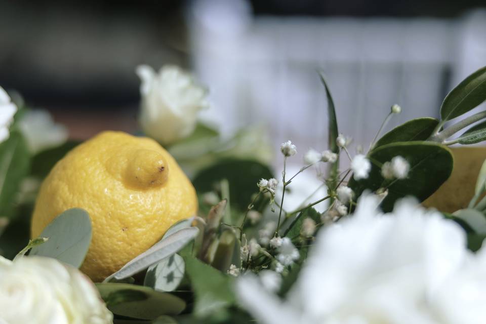 Dettagli limoni