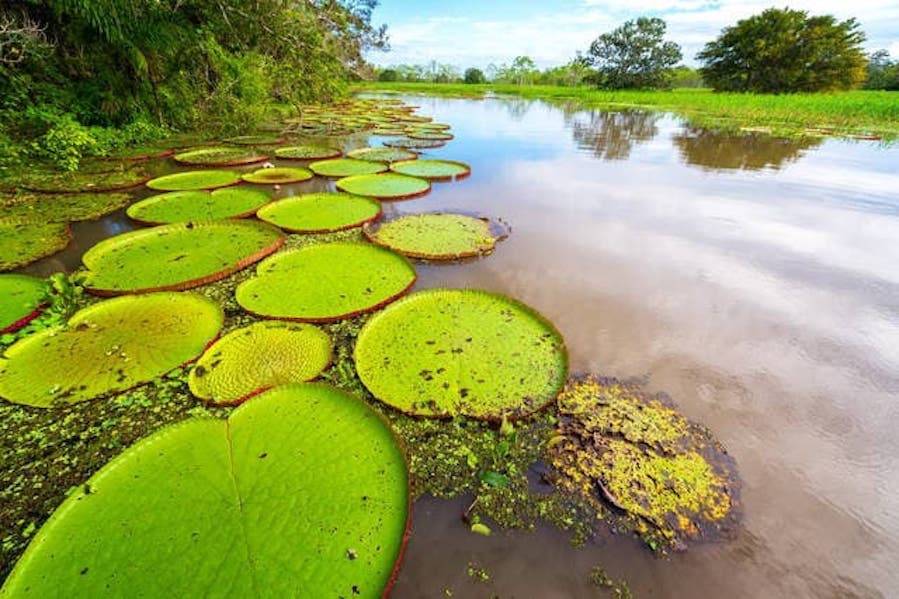 Amazzonia Peruviana