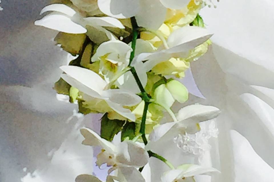 Bouquet con orchidea