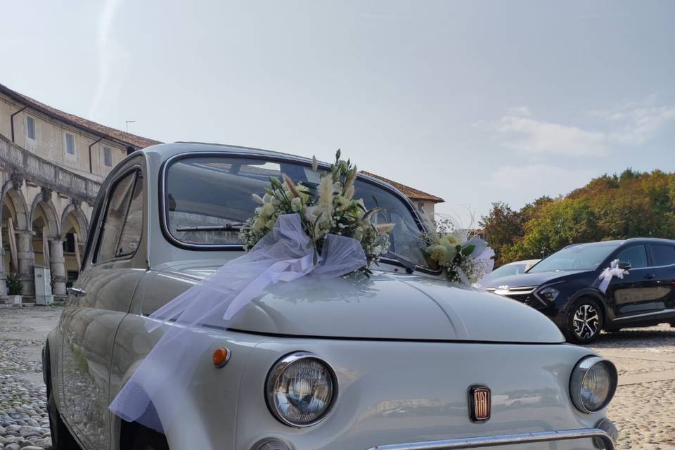 Andrea 500L