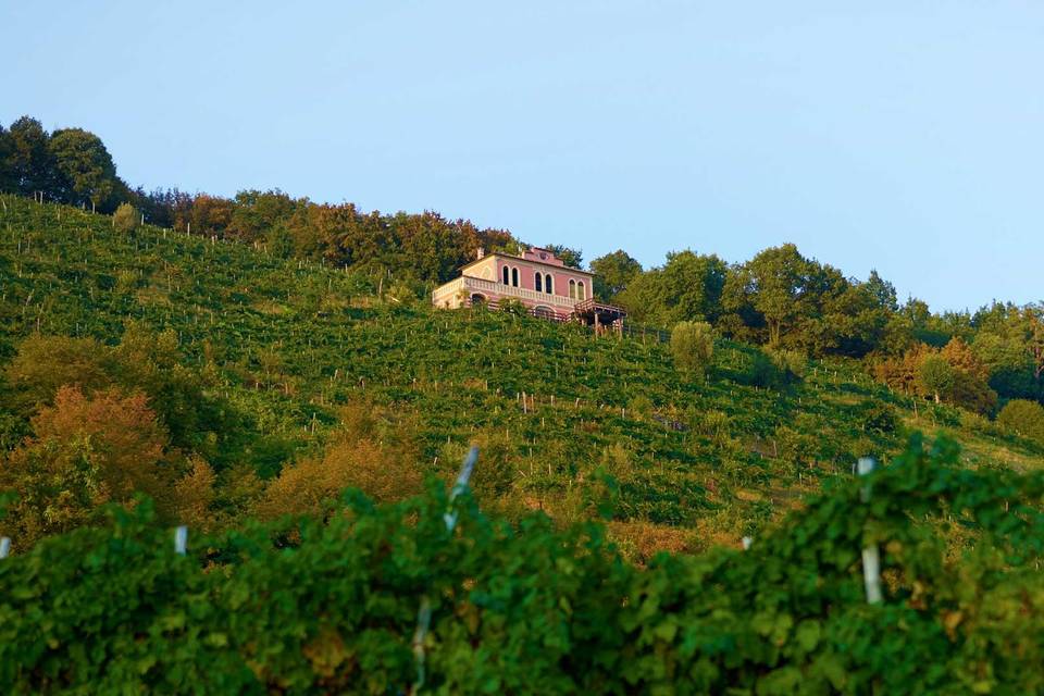 Colline Prosecco