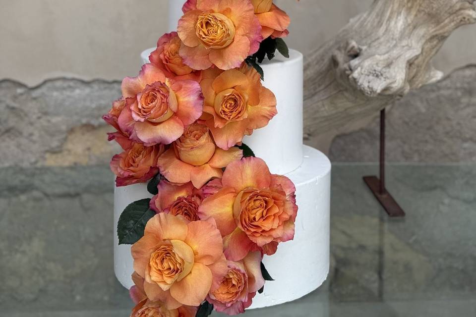 ❤️‍🔥