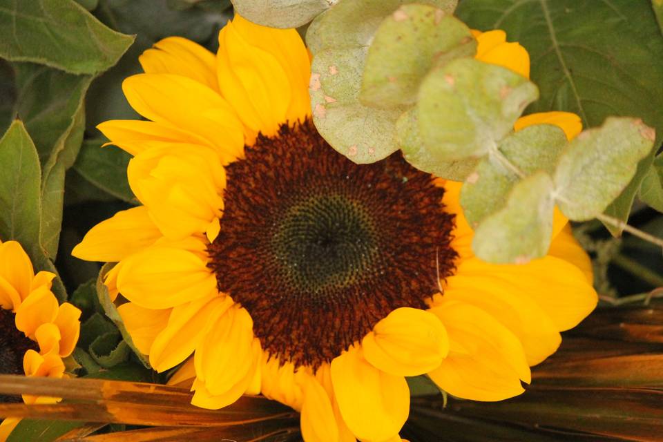 Sunflower Wedding