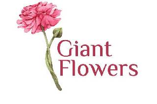 Giant Flowers