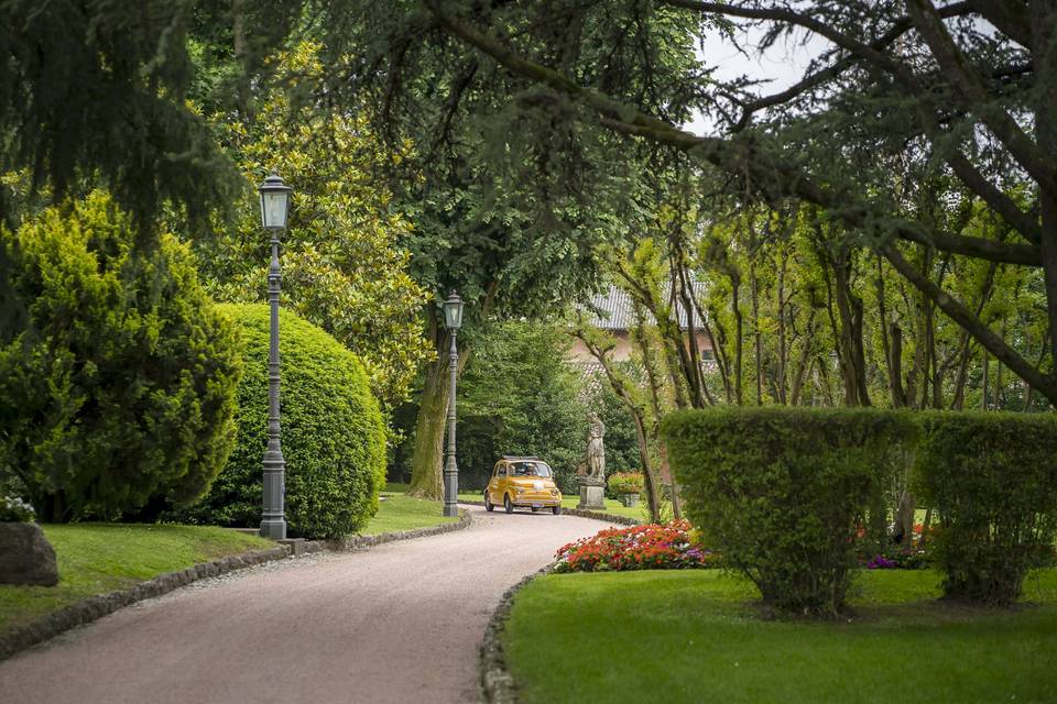Giardino