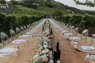 Mondifeso winery