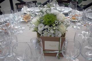 Honeymoon Matrimoni