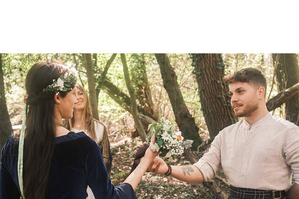 Elopement - Bosco ©Saverio