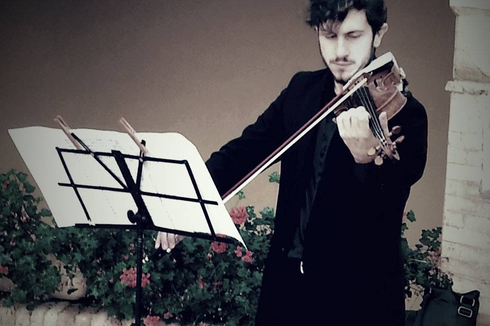 Francesco al violino