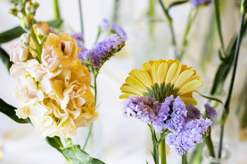Fiori_colorati_vetro_moderno_primopiano