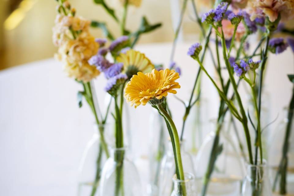 Fiori_gerbera_arancione_vaso_vetro