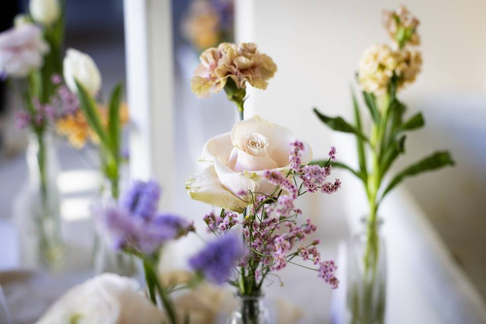 Rosa_pesca_petali_morbidi_primopiano