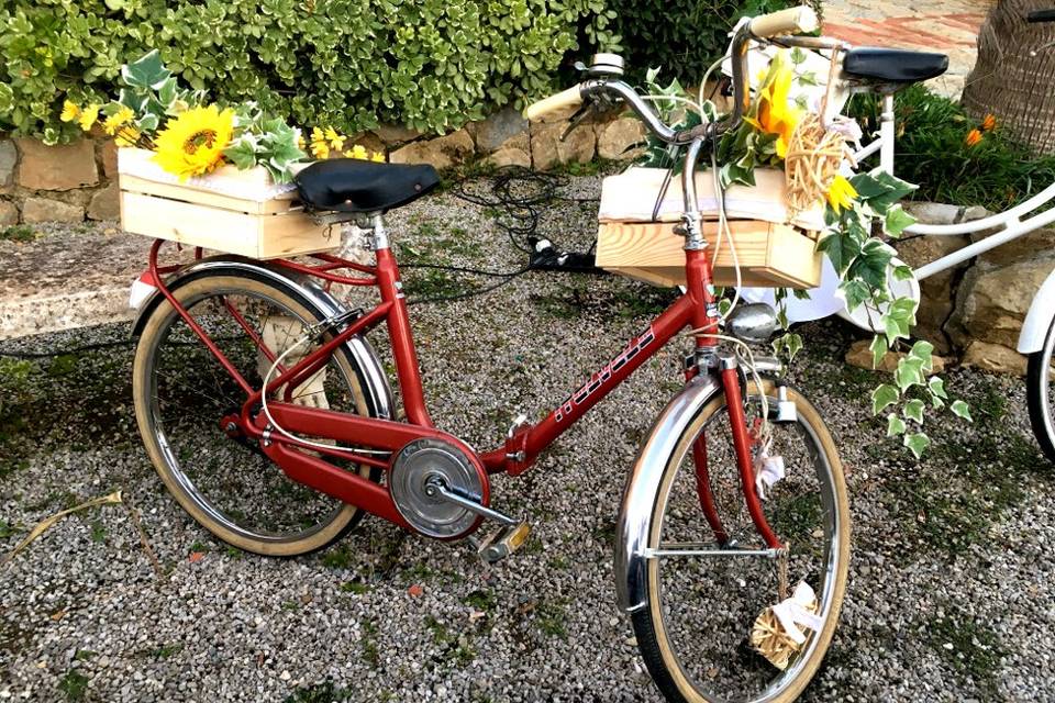 Bici Vintage Graziella