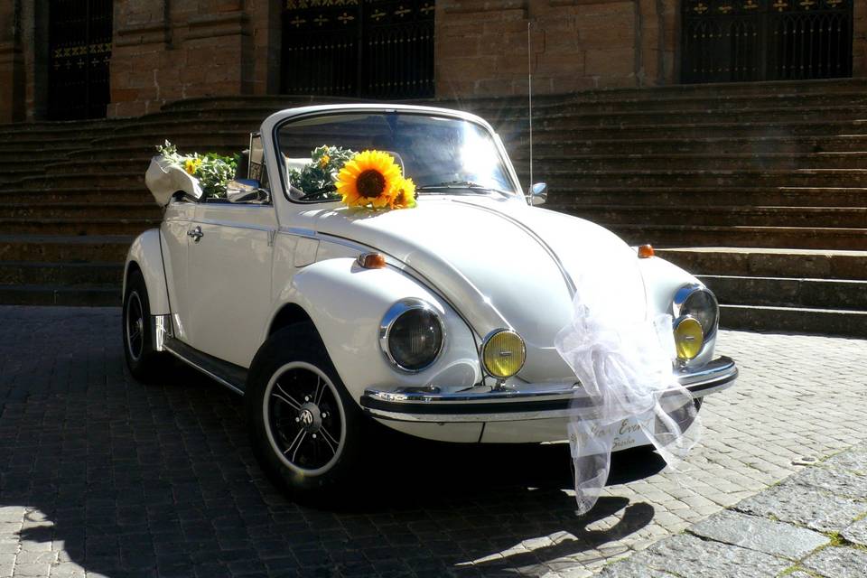 VW New Beetle Cabrio