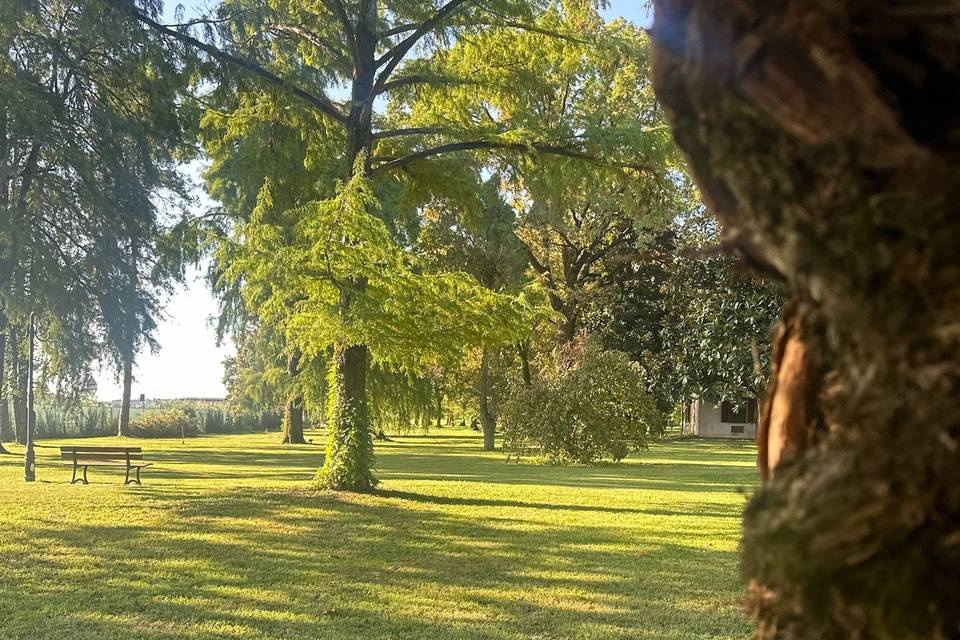 Parco