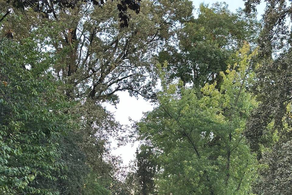 Parco