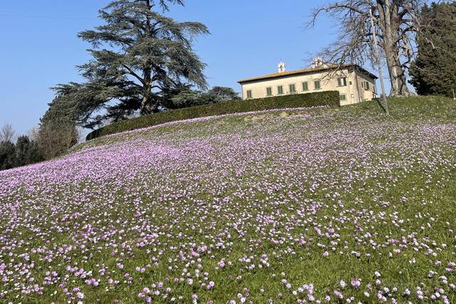 Prato sotto villa