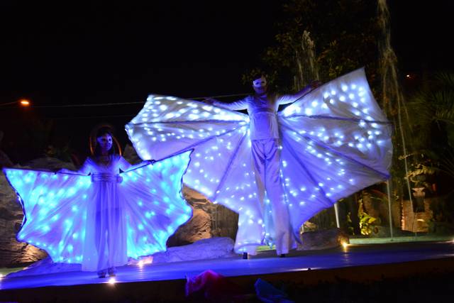 Farfalle luminose