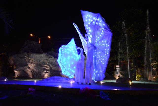 Spettacolo delle Farfalle