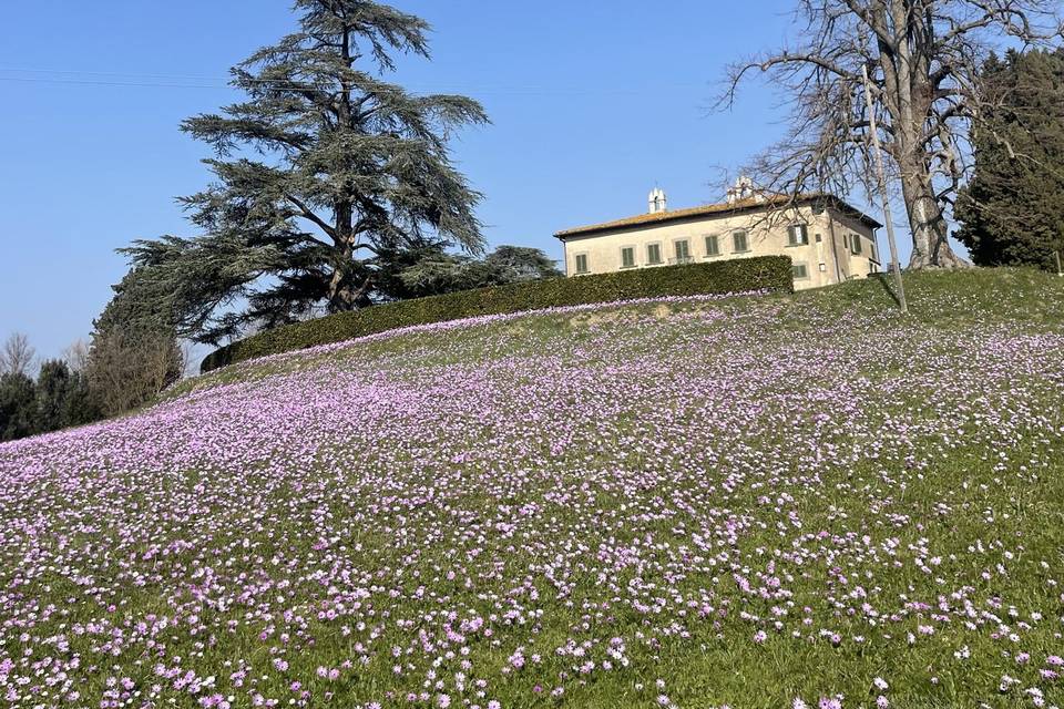 Prato sotto villa