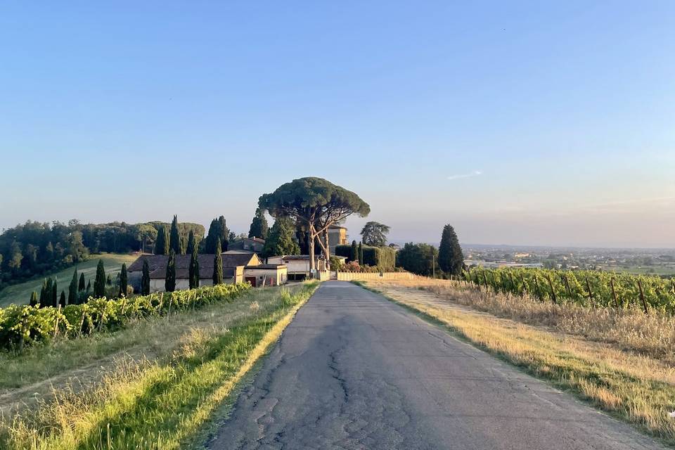 Strada da Cerreto Guidi