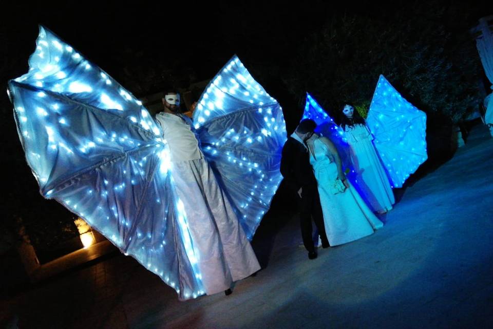 Spettacolo Farfalle luminose