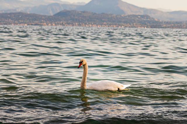 La bellezza della natura