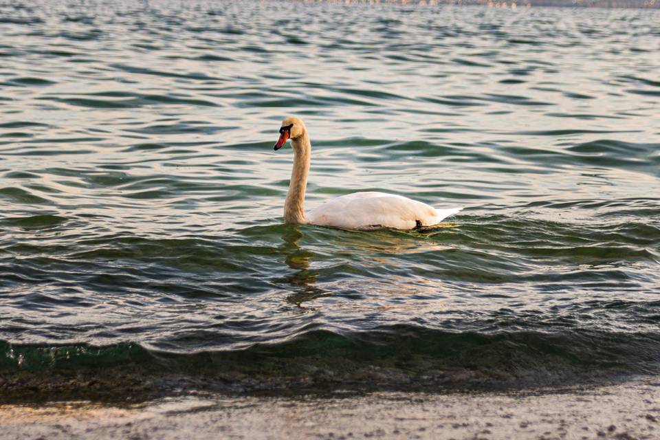 La bellezza della natura