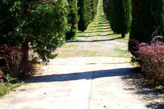 Fattoria La Corte