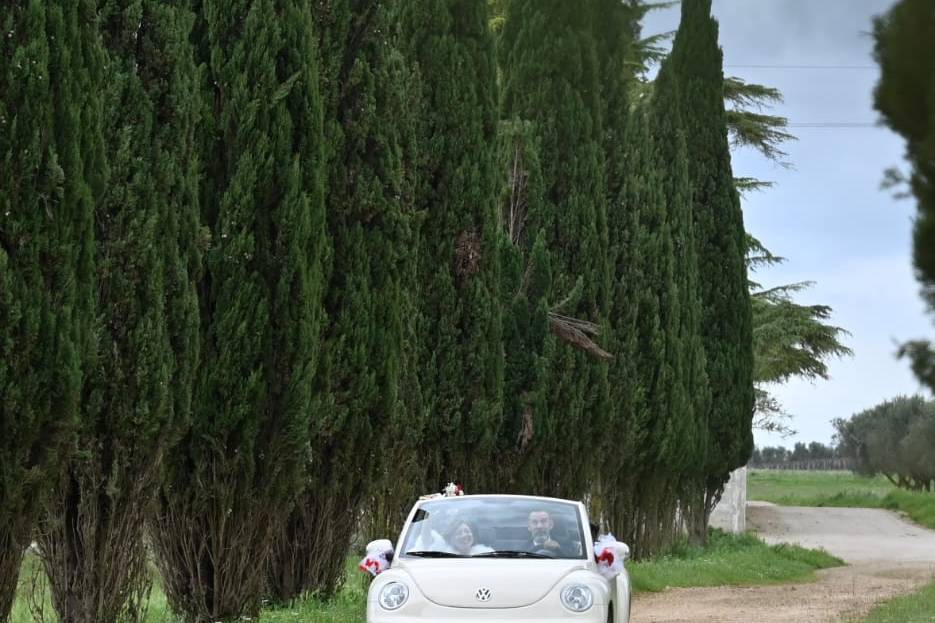 Re beetle cabrio