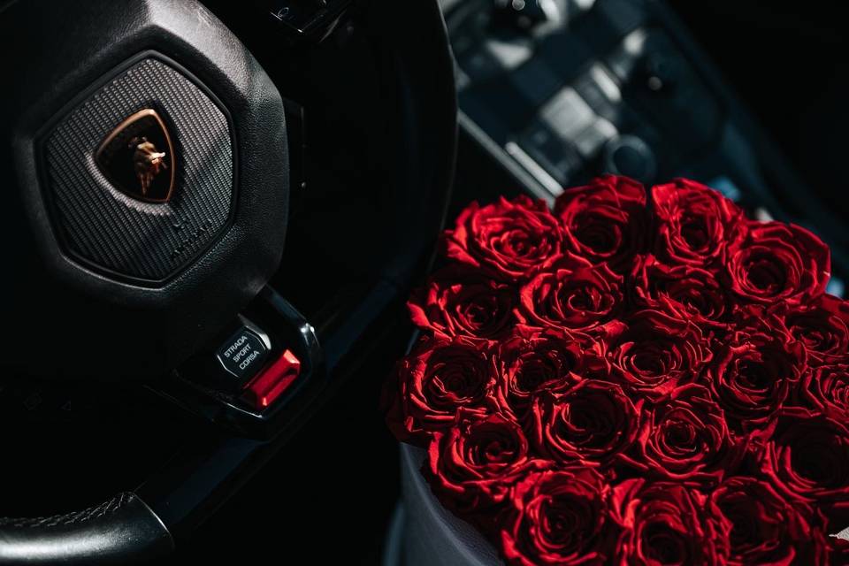 Lamborghini e rose