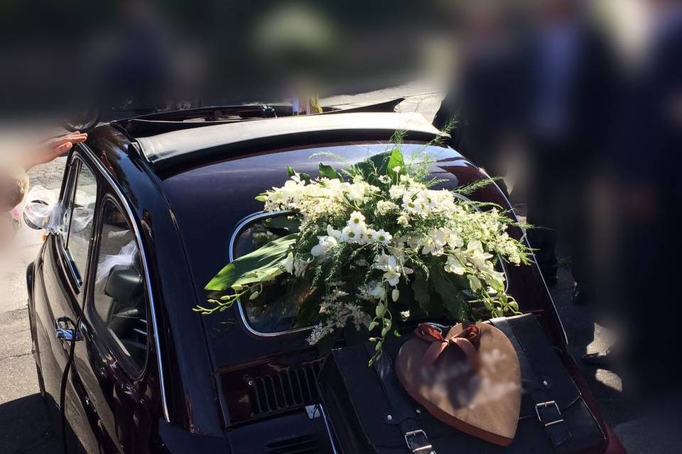 Auto nozze