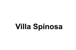 Villa Spinosa