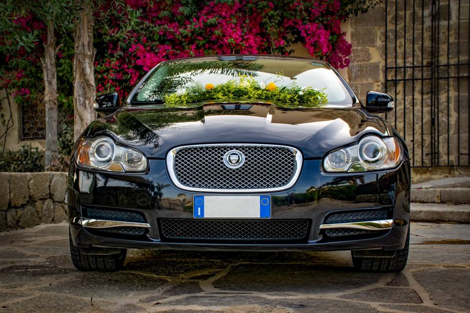 Jaguar