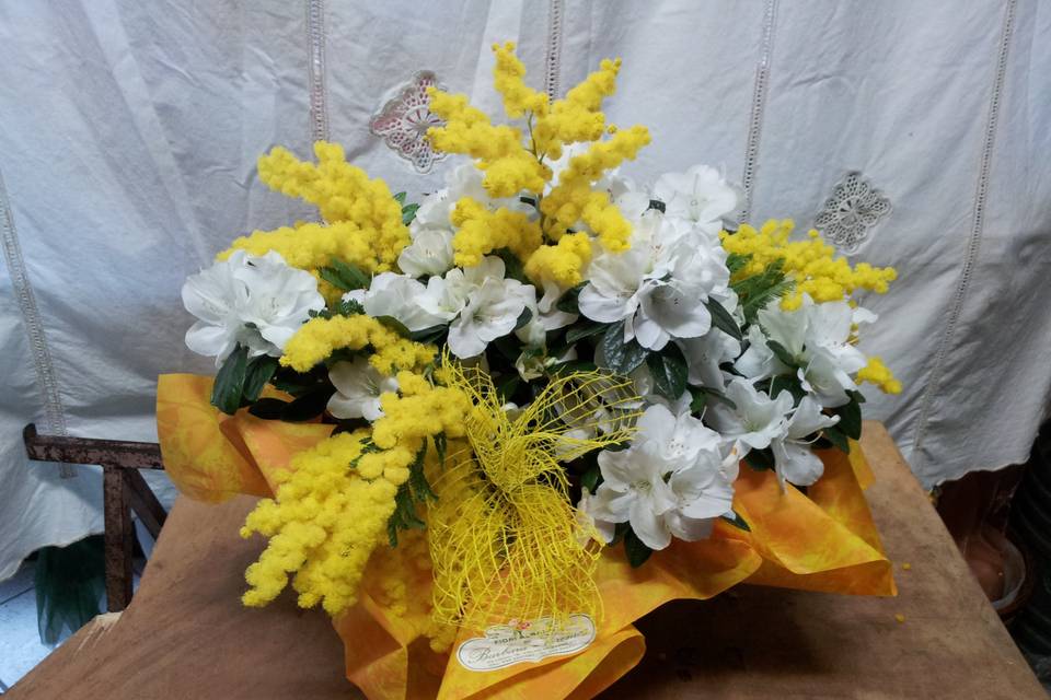 Bouquet di mimosa