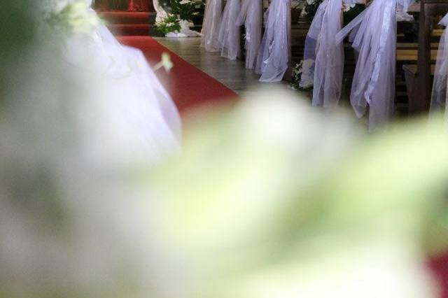 Balaustra,organo,altar maggior