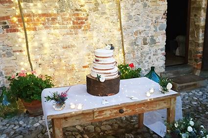 Rustic naked cake