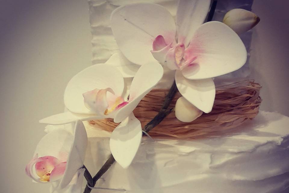 Torta orchidea