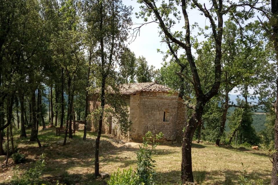 Chiesa nel bosco
