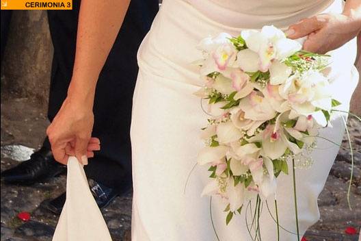 Fotografie di matrimonio