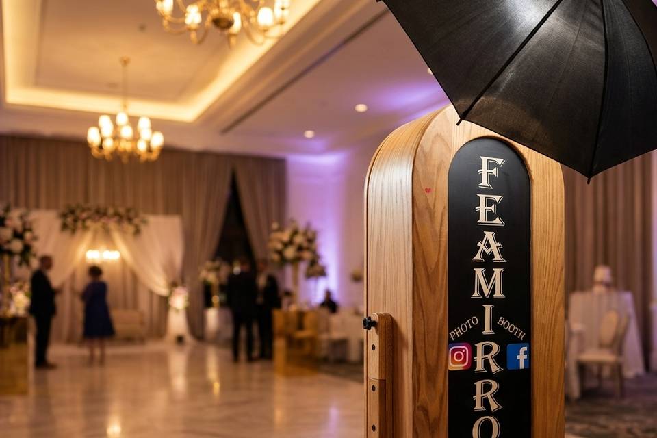 FeaMirror