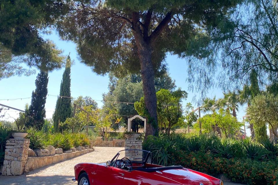 Giulietta Spider
