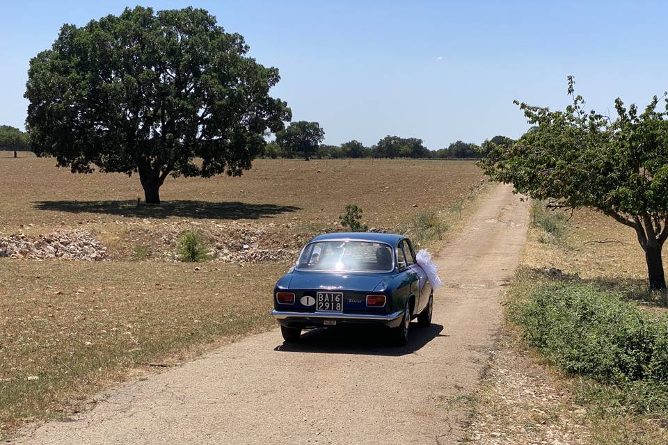 Alfa Romeo Gt 1600