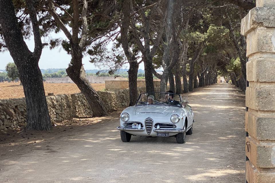 Giulietta spider