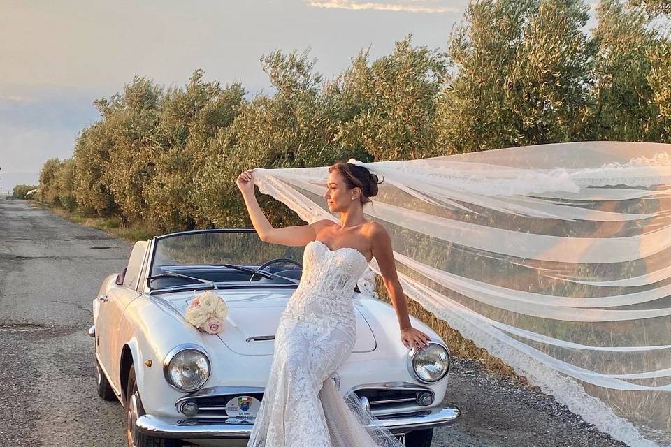 Giulia Spider