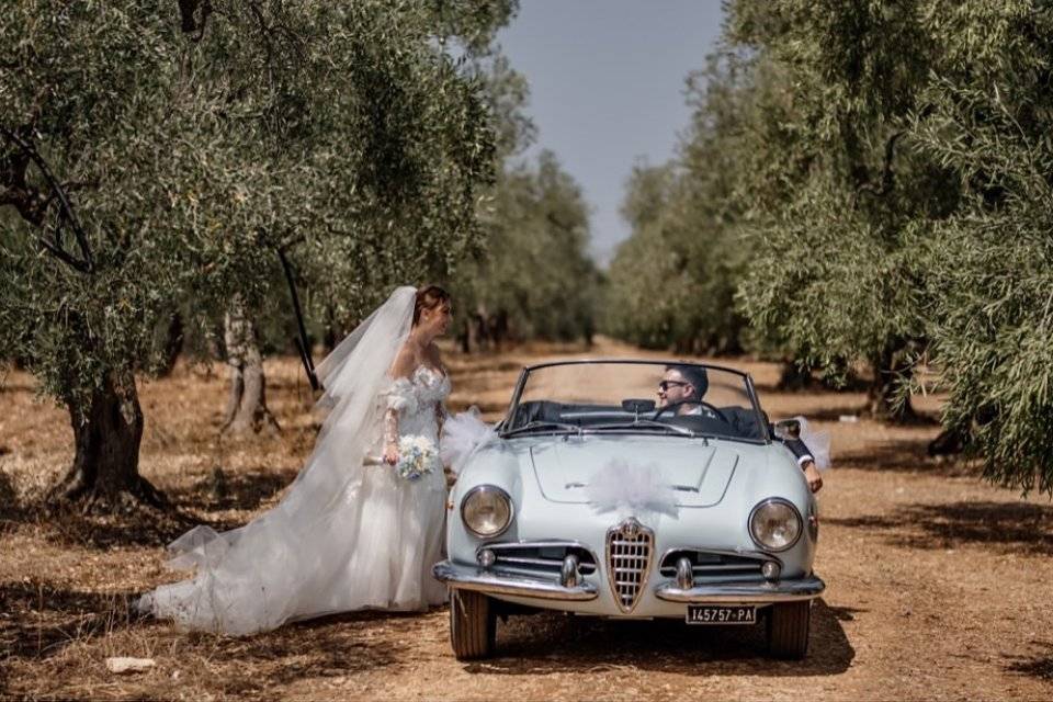 Giulia Spider