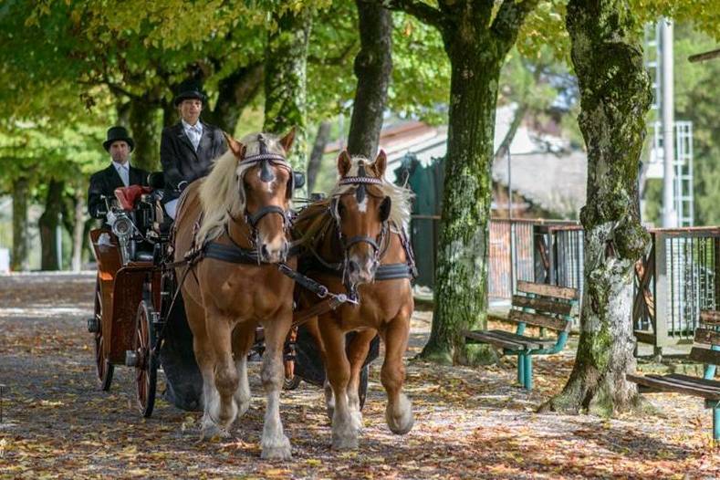 Eventi in Carrozza