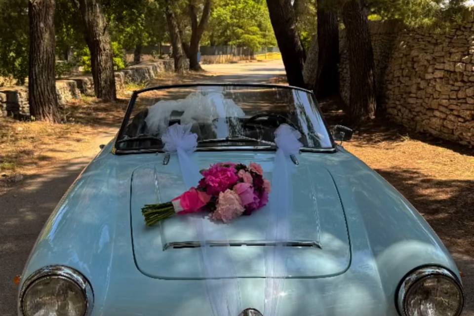 Giulia Spider