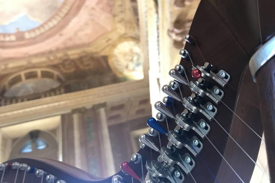 Villa Mosconi Bertani, M e M