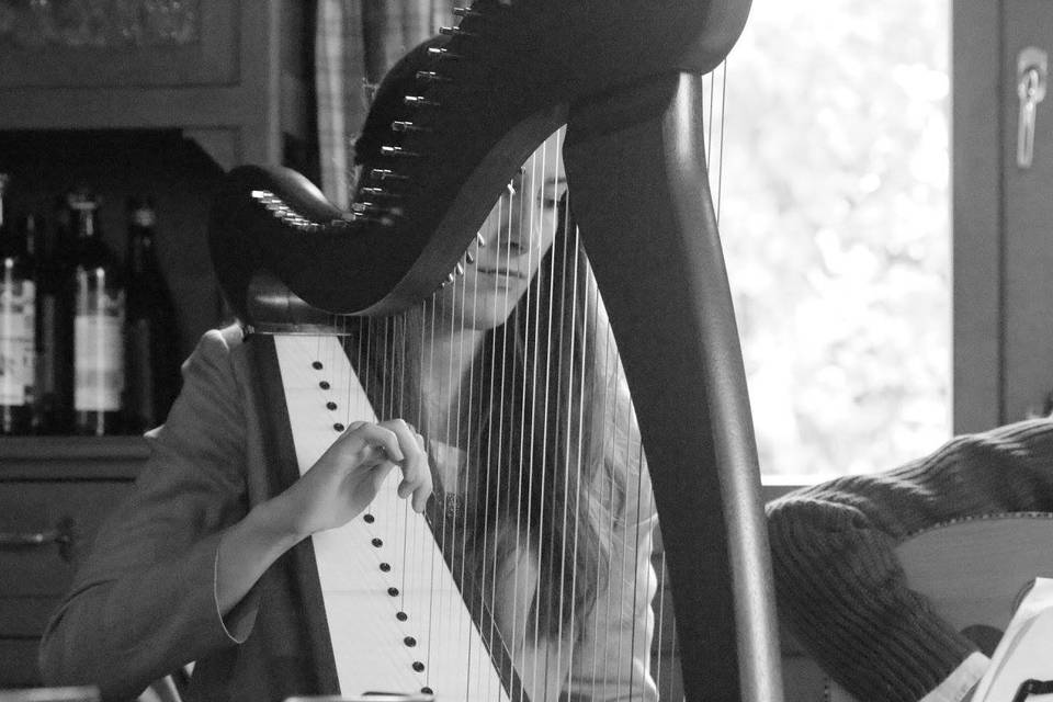 Musica d'accompagnamento